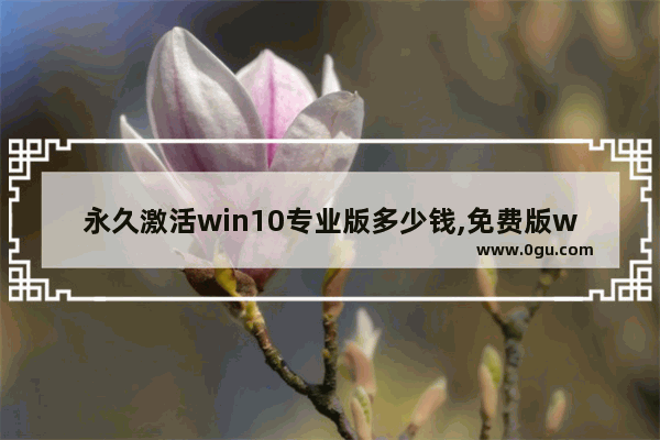 永久激活win10专业版多少钱,免费版win10激活