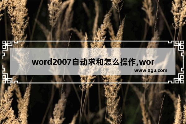 word2007自动求和怎么操作,word表格如何自动求和