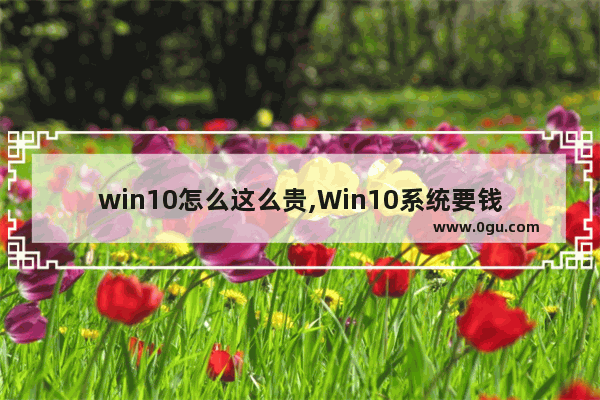 win10怎么这么贵,Win10系统要钱吗