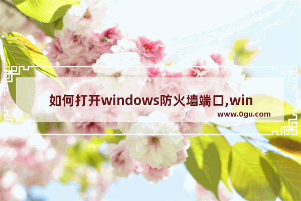 如何打开windows防火墙端口,windows10防火墙端口怎么设置