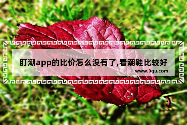 盯潮app的比价怎么没有了,看潮鞋比较好的app