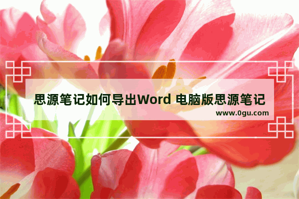 思源笔记如何导出Word 电脑版思源笔记导出Word的方法