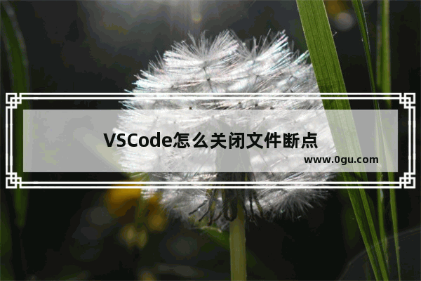 VSCode怎么关闭文件断点