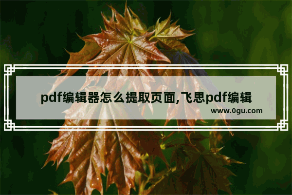 pdf编辑器怎么提取页面,飞思pdf编辑器怎么样