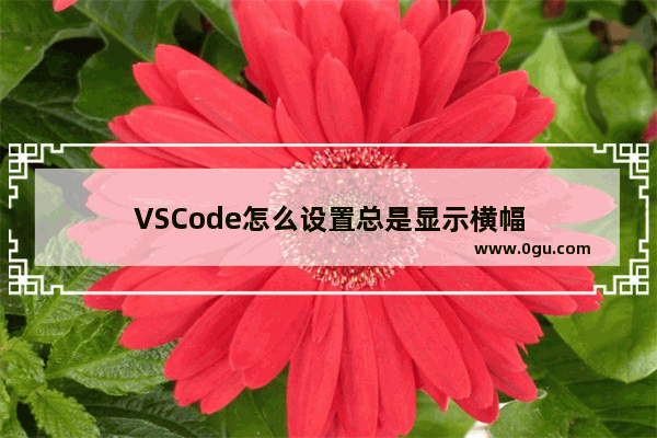 VSCode怎么设置总是显示横幅