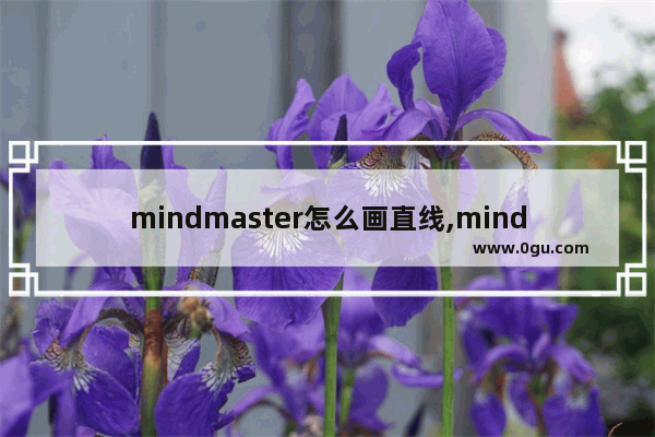 mindmaster怎么画直线,mindmaster关系线怎么改直线