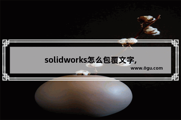 solidworks怎么包覆文字,