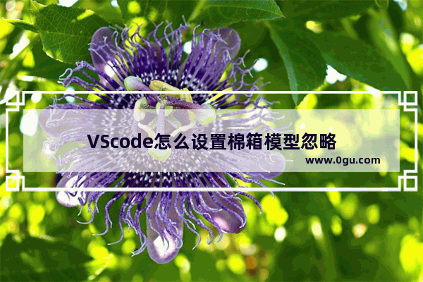 VScode怎么设置棉箱模型忽略