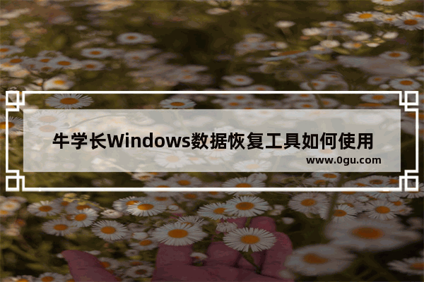 牛学长Windows数据恢复工具如何使用 牛学长Windows数据恢复工具使用方法