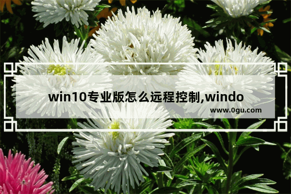 win10专业版怎么远程控制,windows10专业版远程控制