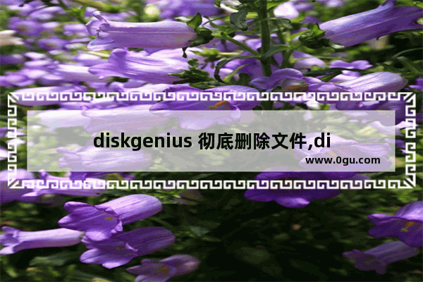 diskgenius 彻底删除文件,diskgenius复制文件失败没有被正常卸载