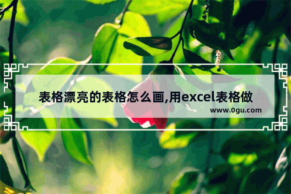 表格漂亮的表格怎么画,用excel表格做出的漂亮表格