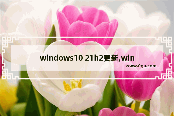 windows10 21h2更新,windows1021h1什么时候更新