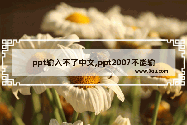 ppt输入不了中文,ppt2007不能输入中文