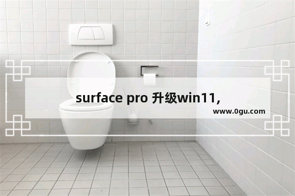 surface pro 升级win11,surfacepro装win10