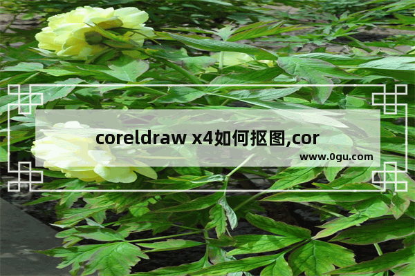 coreldraw x4如何抠图,coreldrawx4怎么抠图教程