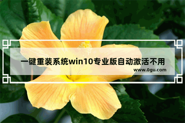 一键重装系统win10专业版自动激活不用再次永久激活,小白一键重装系统win10教程激活