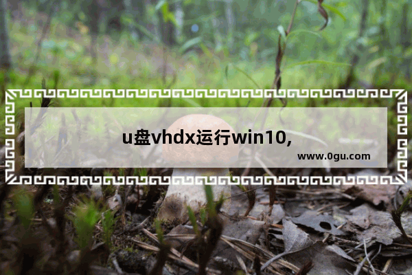 u盘vhdx运行win10,