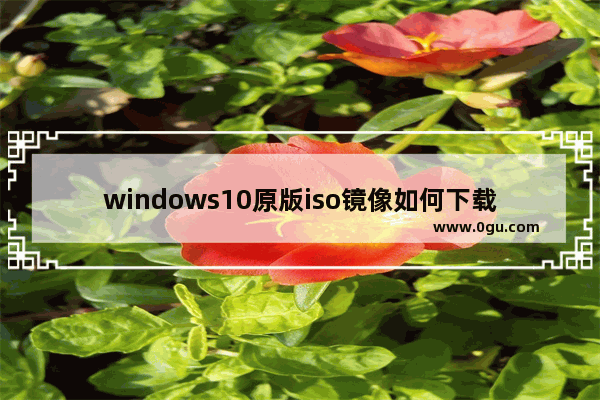 windows10原版iso镜像如何下载,win10原版镜像iso用u盘安装方法