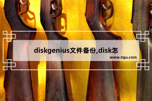 diskgenius文件备份,disk怎么备份