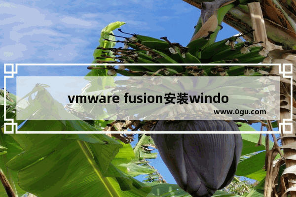 vmware fusion安装windows,vmware windows10安装