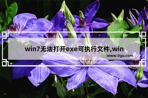 win7无法打开exe可执行文件,windows7打不开exe文件