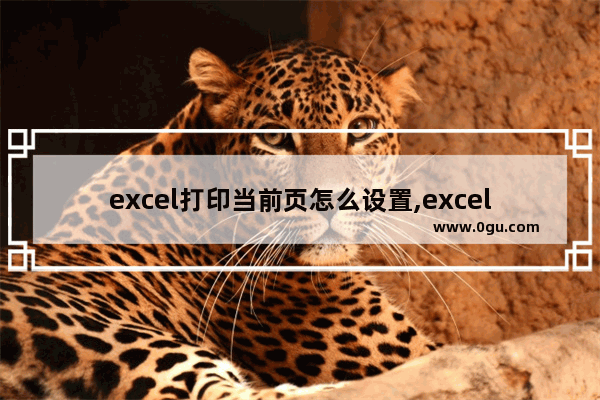 excel打印当前页怎么设置,excel2007怎么打印当前页