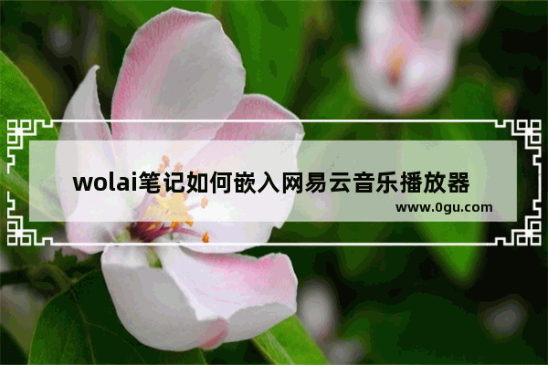 wolai笔记如何嵌入网易云音乐播放器 wolai笔记嵌入网易云音乐播放器的方法