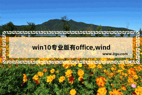 win10专业版有office,windows10专业版和windows10带office