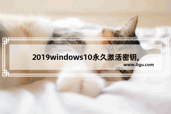 2019windows10永久激活密钥,windows10专业版激活密钥2019