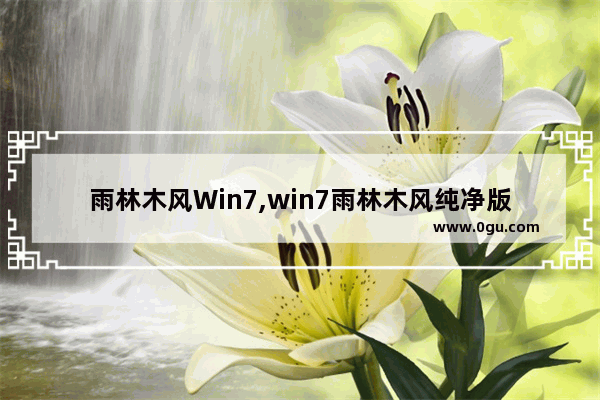 雨林木风Win7,win7雨林木风纯净版