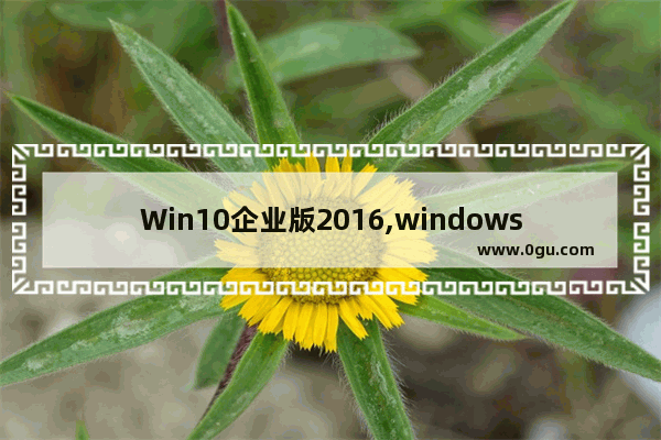 Win10企业版2016,windows10 2020版