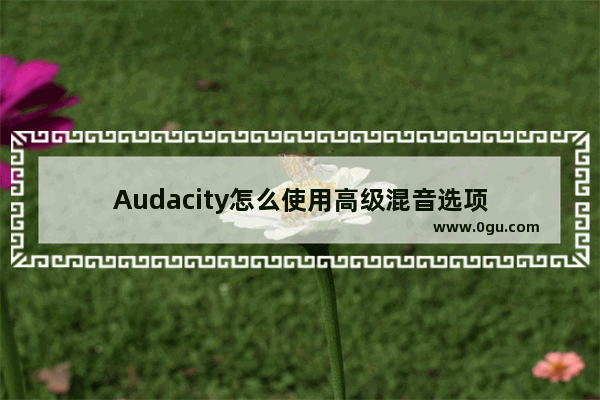 Audacity怎么使用高级混音选项