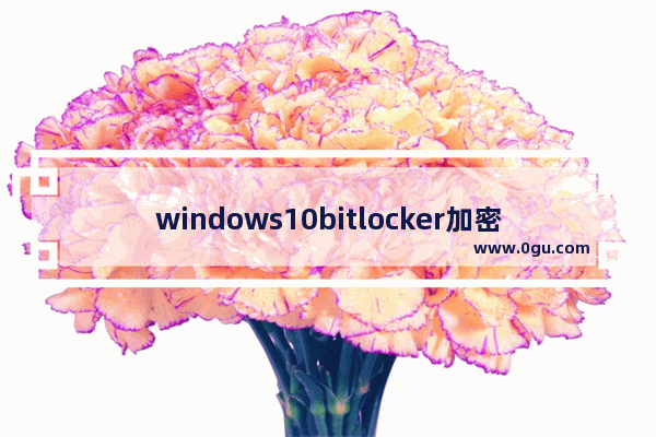 windows10bitlocker加密磁盘,win10硬盘bitlocker加密在哪儿解除