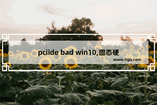 pciide bad win10,固态硬盘pciide bad