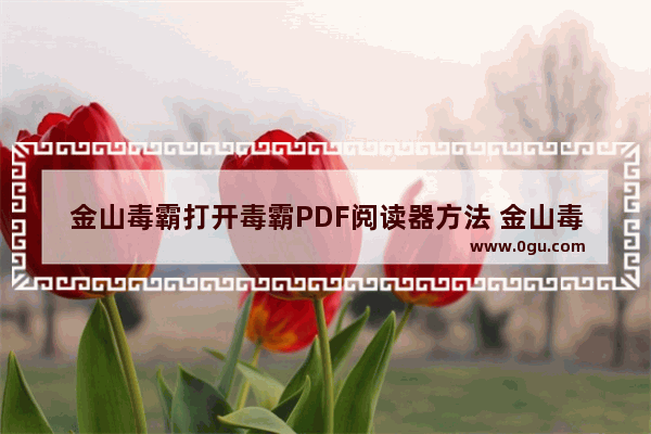 金山毒霸打开毒霸PDF阅读器方法 金山毒霸如何打开毒霸PDF阅读器