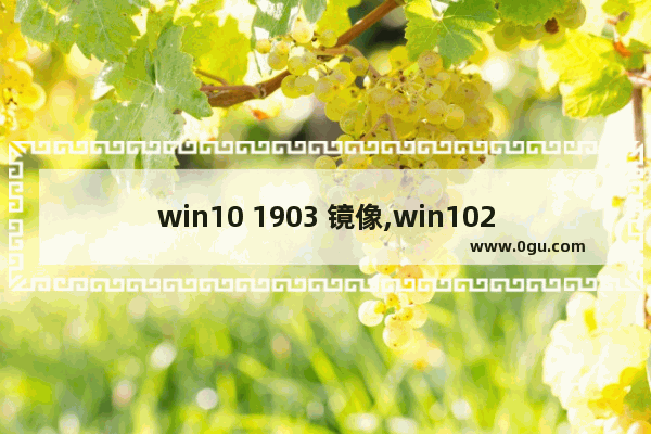 win10 1903 镜像,win1020h1官方镜像 1