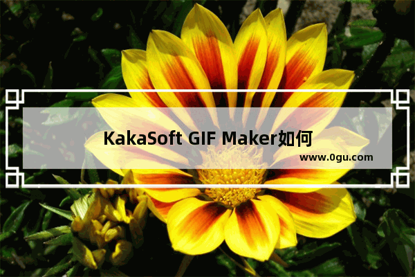 KakaSoft GIF Maker如何更改语言为中文 KakaSoft GIF Maker更改语言为中文的方法