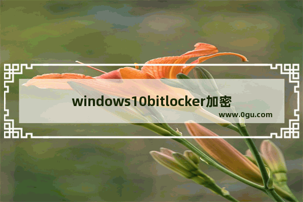 windows10bitlocker加密磁盘,win10硬盘bitlocker加密在哪儿解除