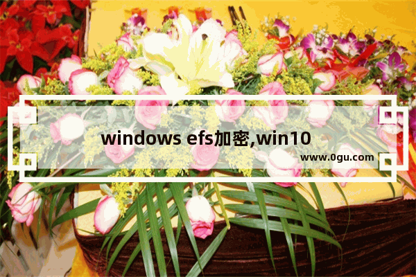 windows efs加密,win10 efs加密文件无法解密 1