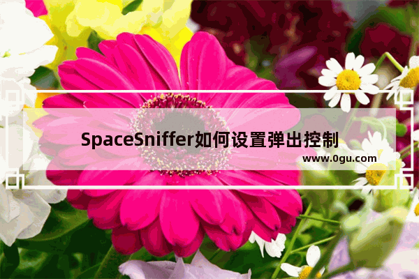 SpaceSniffer如何设置弹出控制台登录事件