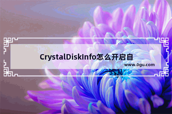 CrystalDiskInfo怎么开启自动检测时间