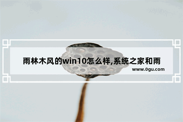 雨林木风的win10怎么样,系统之家和雨林木风谁的win10好用