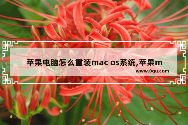 苹果电脑怎么重装mac os系统,苹果mac系统重装教程