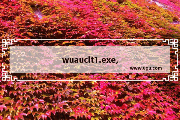 wuauclt1.exe,