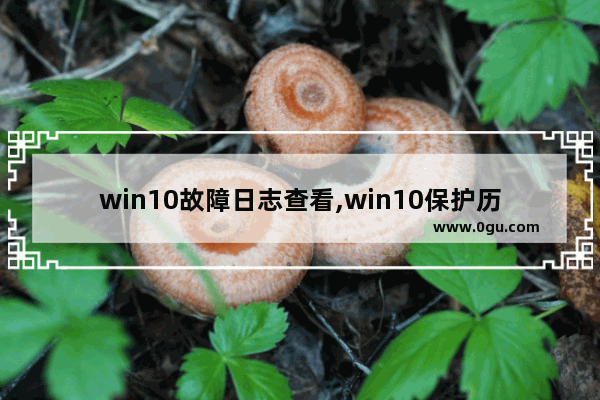 win10故障日志查看,win10保护历史记录无最近操作