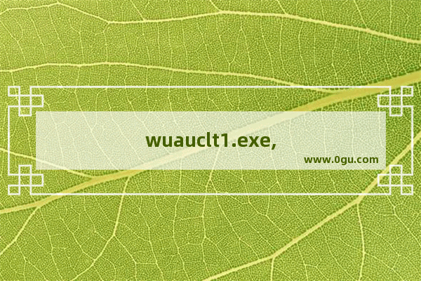 wuauclt1.exe,