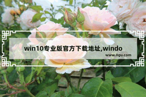 win10专业版官方下载地址,windows10专业版哪里下载