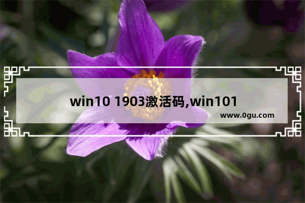 win10 1903激活码,win101909激活