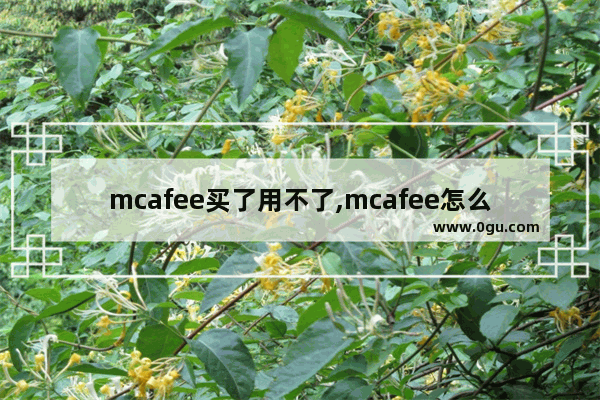 mcafee买了用不了,mcafee怎么验证订购